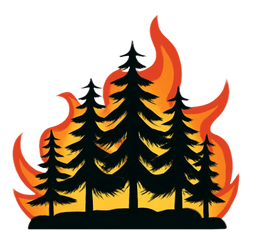 Disputes